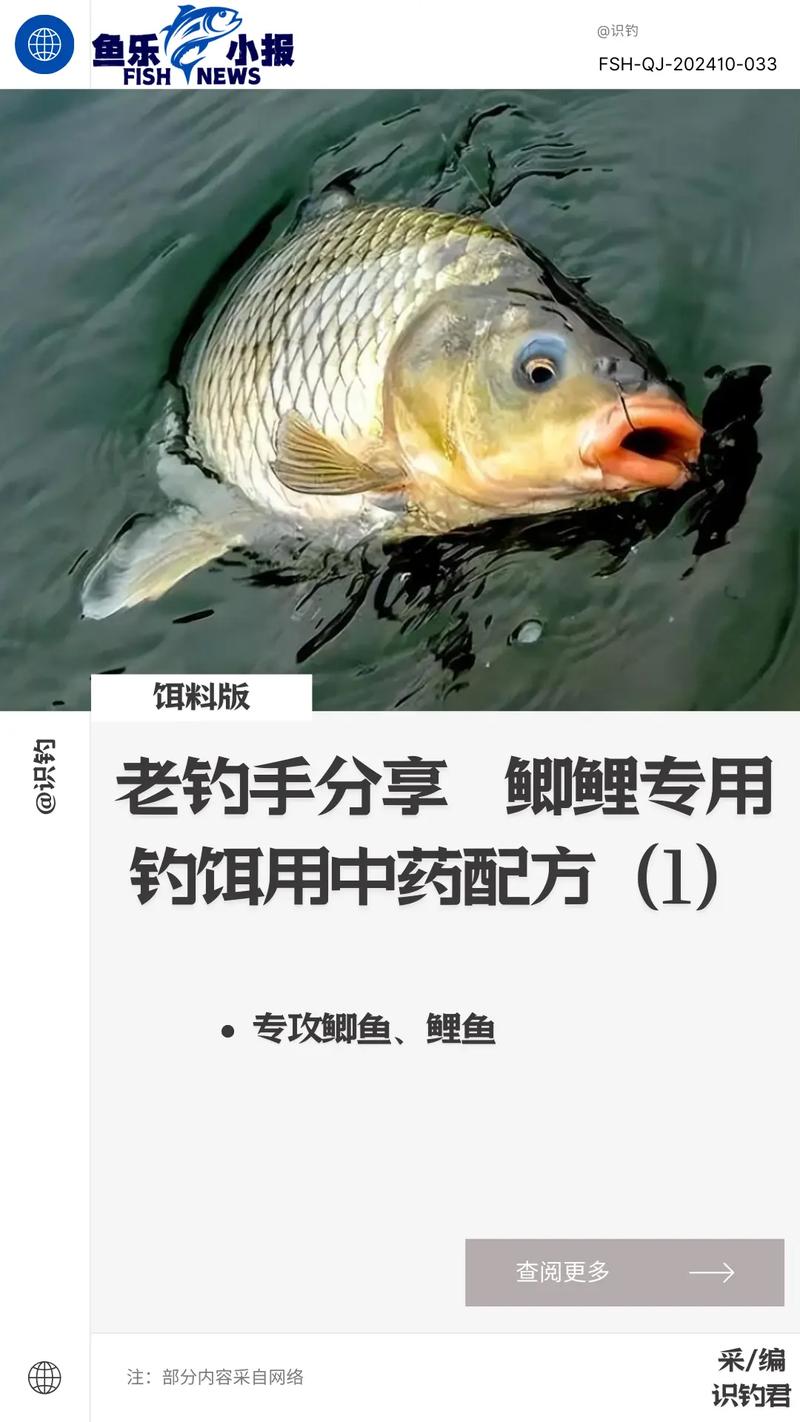 休閑釣鯽魚魚餌配方_釣鯽魚常用小藥組合_六種釣鯽魚用餌技巧