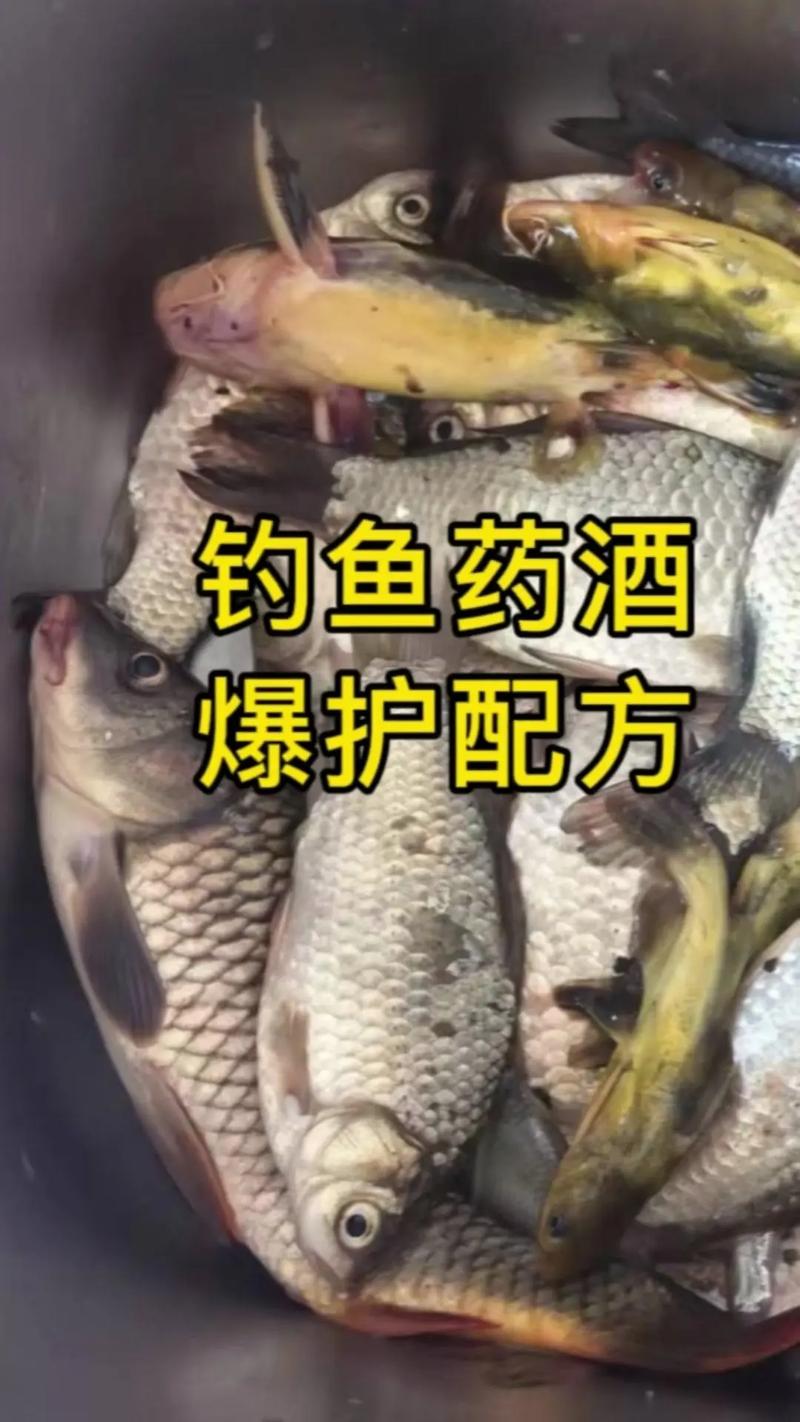 黑坑餌料配方 紅薯紅棗餌料 黑坑鯉魚餌料_春釣鯽魚餌料配方