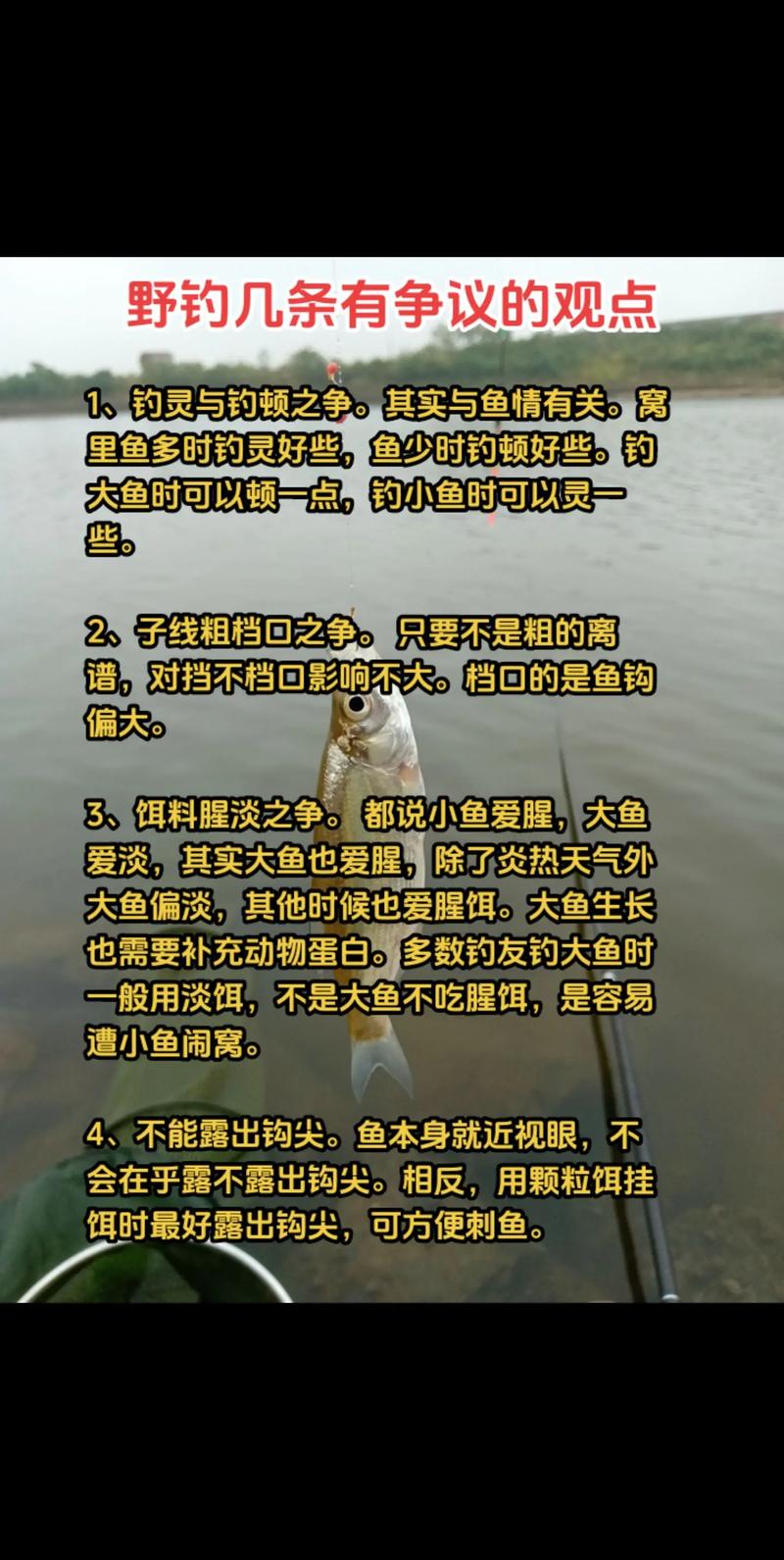 野釣的快樂_釣魚樂趣是什么_野釣黑坑競技區別