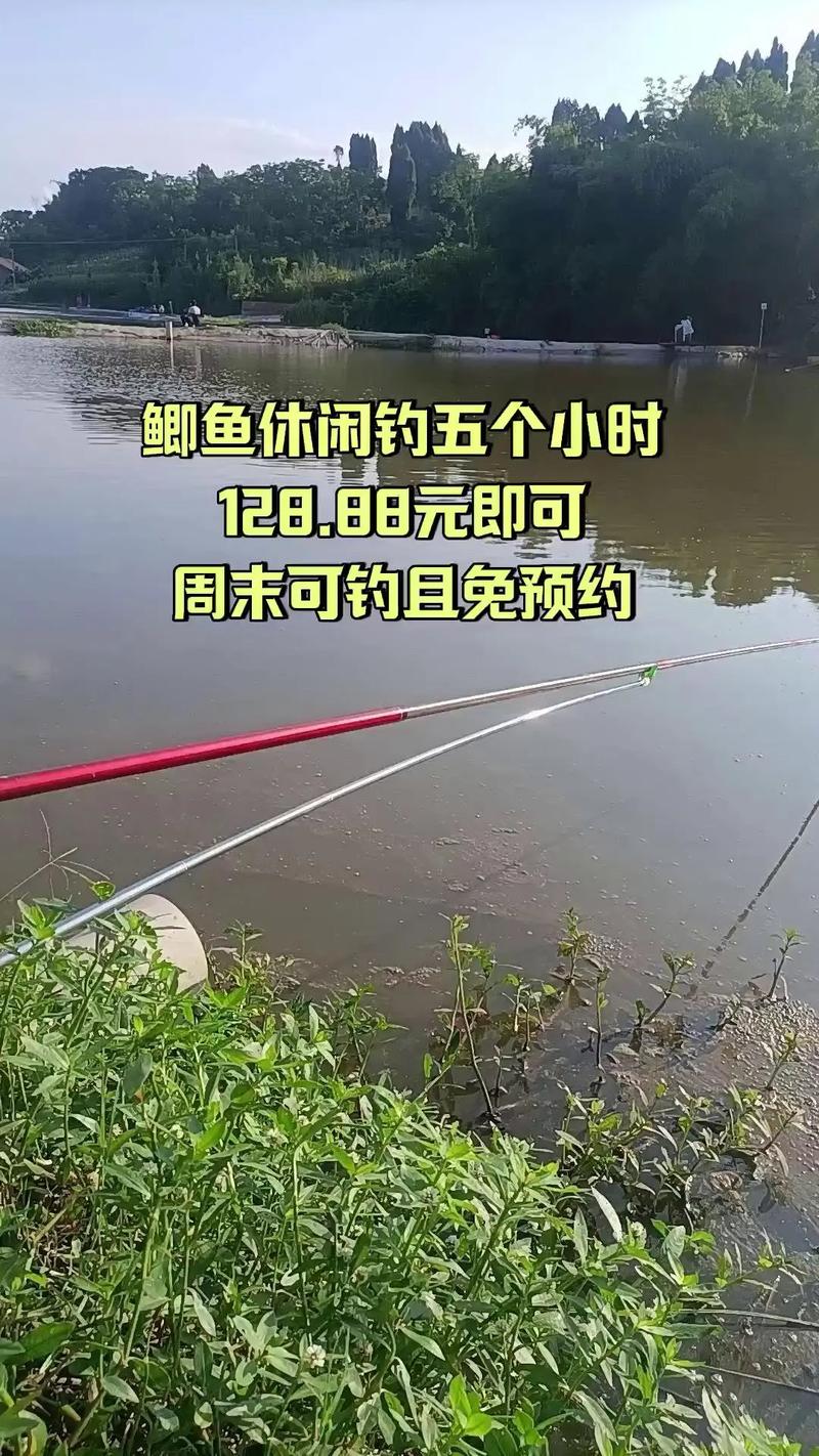 黑坑釣魚技巧全攻略_黑坑大炮場高密度鯉魚作釣方法_黑坑大炮場釣鯉魚技巧