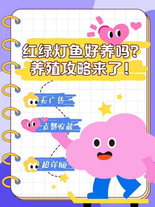 養30缸紅綠燈魚數量_紅綠燈魚怎么養最好_30升缸養紅綠燈魚數量