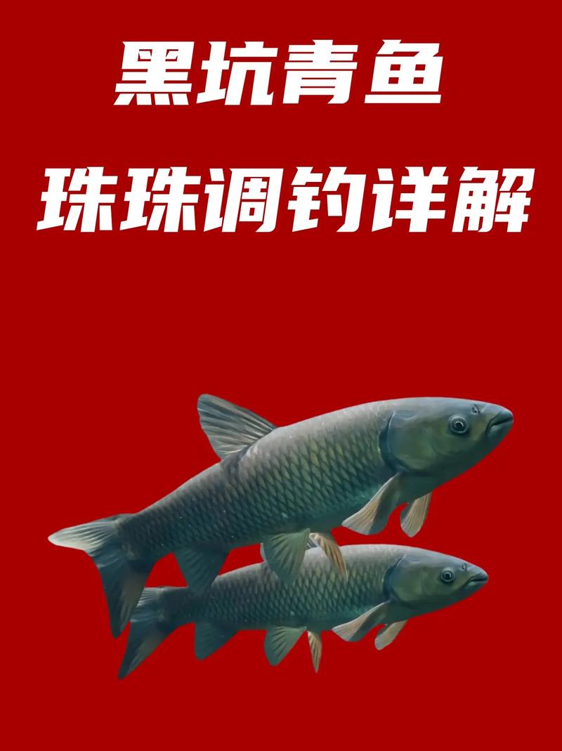 黑坑釣鯉魚直播_釣黑坑現場直播視頻_黑坑釣魚直播在線觀看