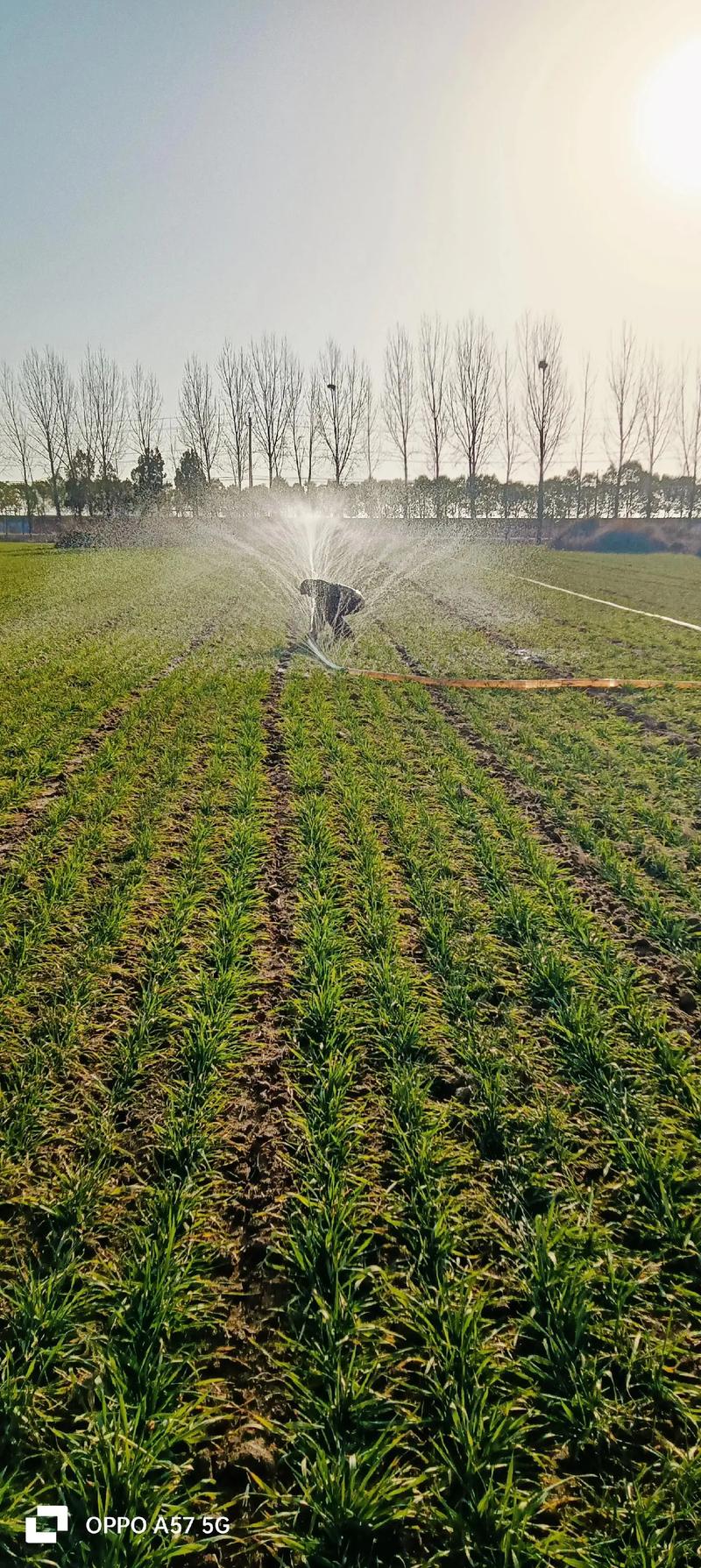 三門峽水庫知乎_三門峽水庫_三門峽水庫的慘痛教訓