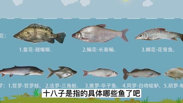 魚雜魚子怎么做好吃_魚雜蘿卜的做法竅門_三花五羅十八子七十二雜魚