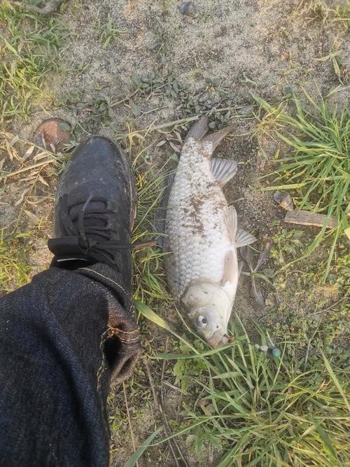 春天釣淺還是釣深_春天釣魚釣深淺_春天釣魚釣深還是淺