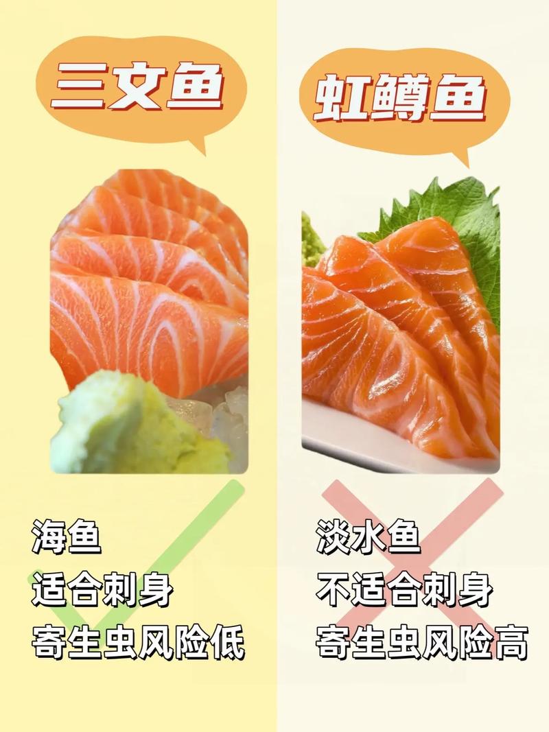 新疆虹鱒魚養殖條件_新疆三文魚虹鱒魚區別_虹鱒魚是什么魚