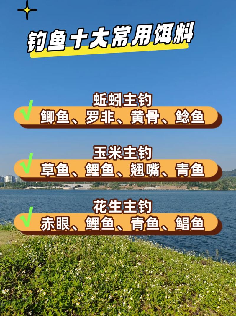 崇明野釣的地方2020_崇明野釣的好去處_2026崇明野釣地點