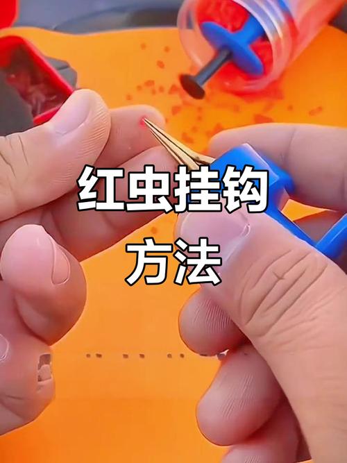 冬季野釣紅蟲使用方法_紅蟲釣鯽魚技巧_紅蟲怎么掛鉤圖解