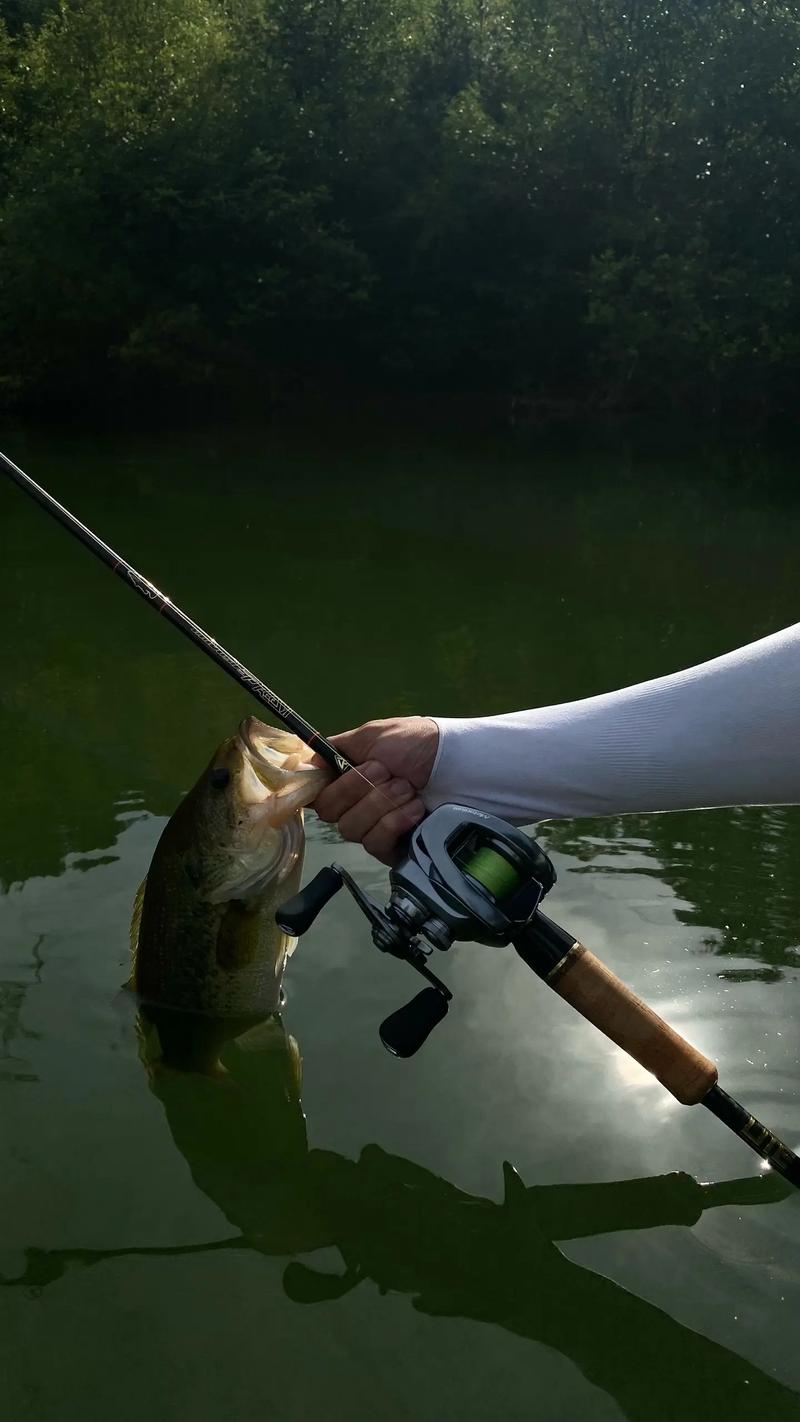 路亞_深圳路亞大全_深圳哪里有路亞能釣魚_深圳路亞漁具_深圳路亞視頻