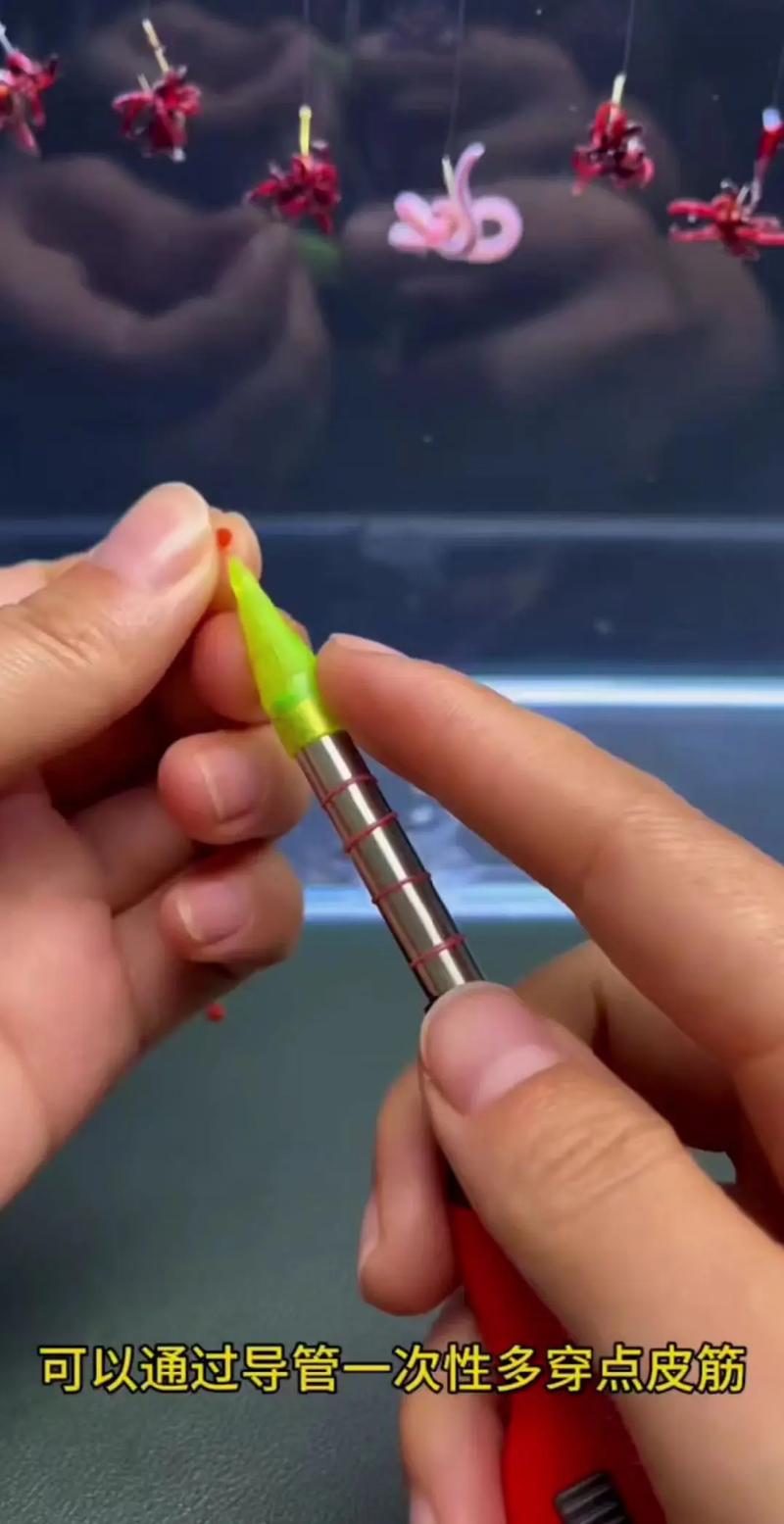紅蟲穿刺法使用方法_紅蟲怎么掛鉤_初春紅蟲作釣技巧