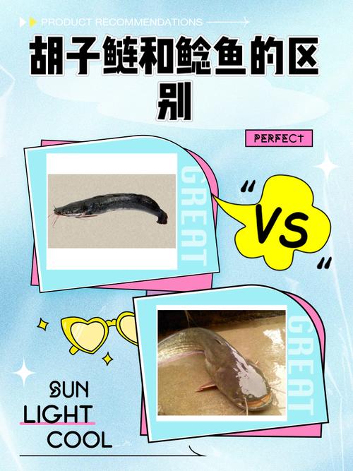 胡子魚愛吃什么東西_胡子吃魚食嗎_胡子魚最愛吃什么東西