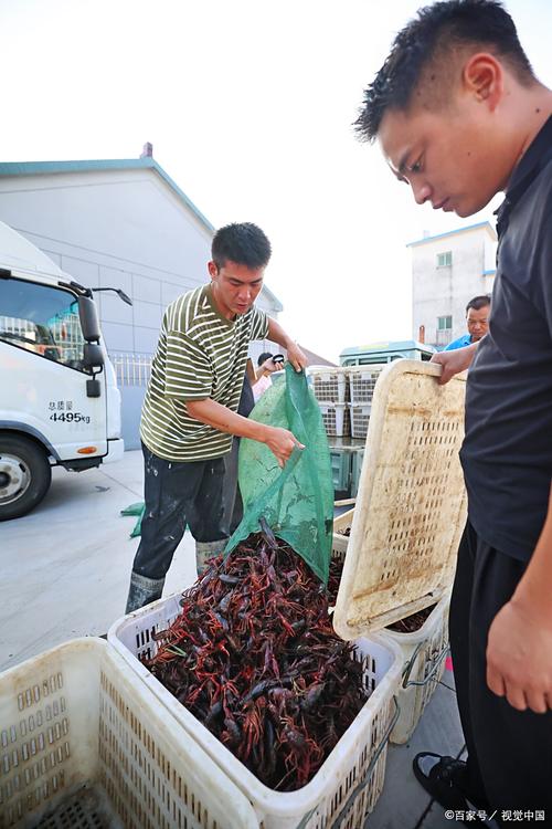 潛江小龍蝦養殖氣象服務_湖北龍蝦養殖_湖北小龍蝦生長環境分析