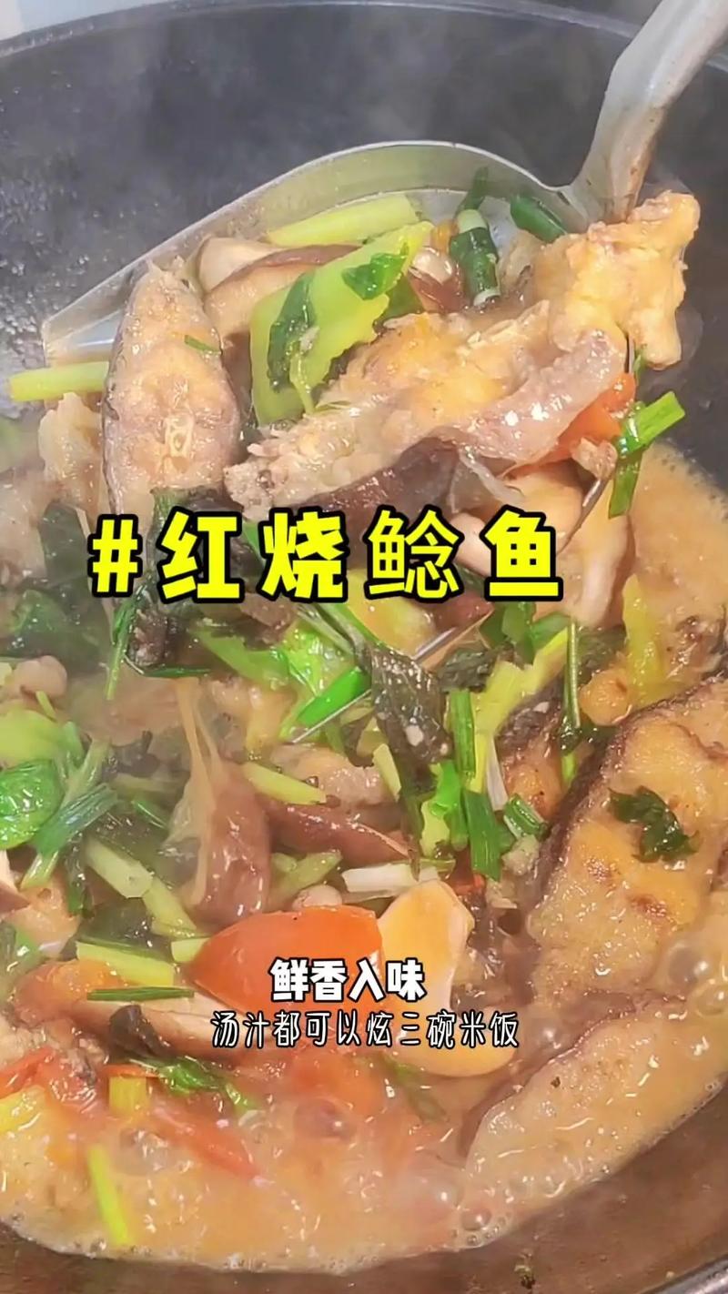 川菜紅燒鯰魚做法 家常菜 鯰魚營養價值_紅燒鯰魚的家常做法
