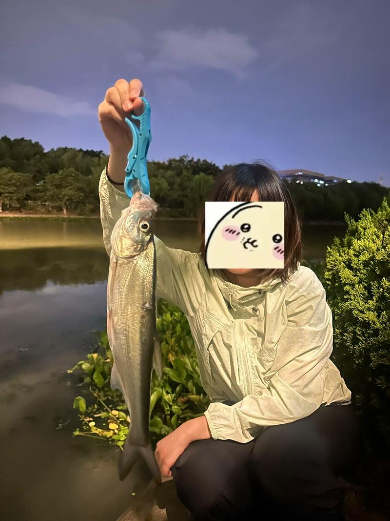 路亞新手不打龜秘訣_路亞初體驗成功被帶入坑_拋竿選餌控餌技巧