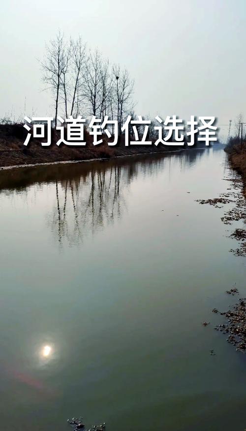 商丘釣魚吧_商丘釣魚的好地方_商丘野釣