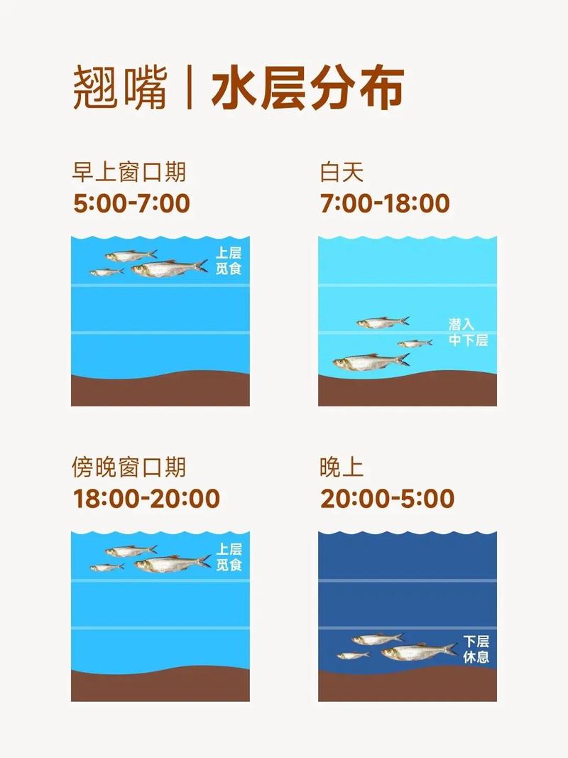 野釣小翹嘴餌料搭配方法_路亞釣法:路亞翹嘴魚的技巧全解析_懸墜釣野釣小翹嘴技巧