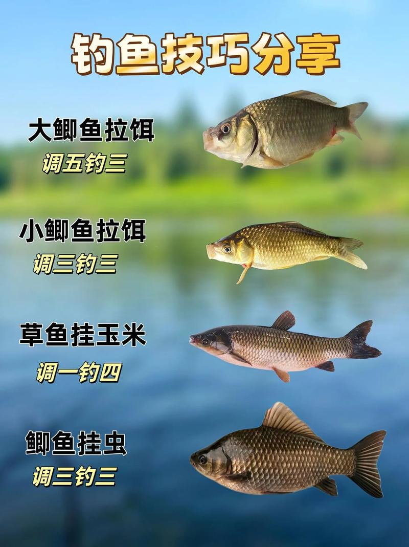 滑漂釣法視頻_冬季野釣大鯽大鯉使用滑漂技巧_滑漂在冬季野釣中的應用方法