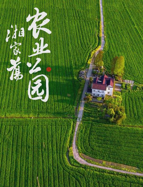 長沙休閑農業復業_長沙農家樂一覽表_長沙休閑農莊復業情況