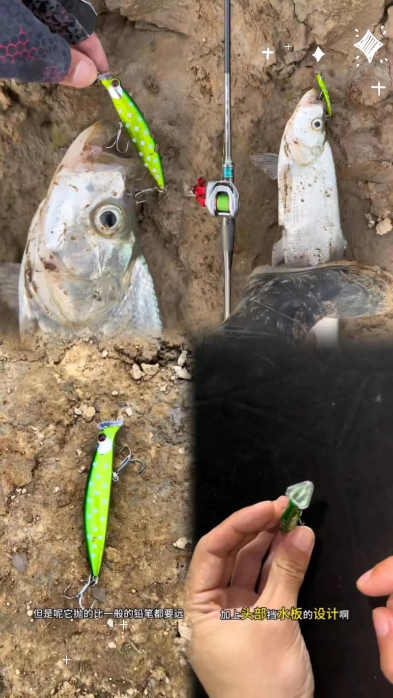 路亞釣翹嘴用哪種假餌效果比較好?_路亞新手必備裝備選擇_路亞釣法入門技巧