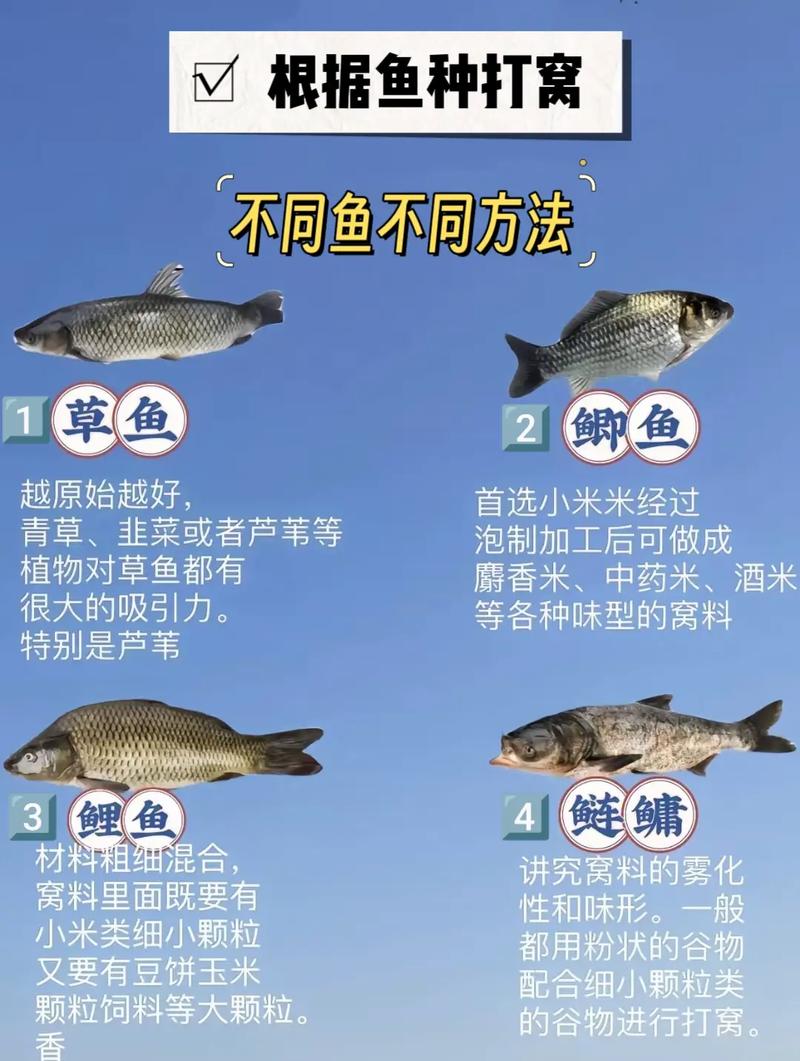 夏末草魚釣法_適用于江河野釣草魚的四種打窩方法必看_野釣草魚窩料餌料