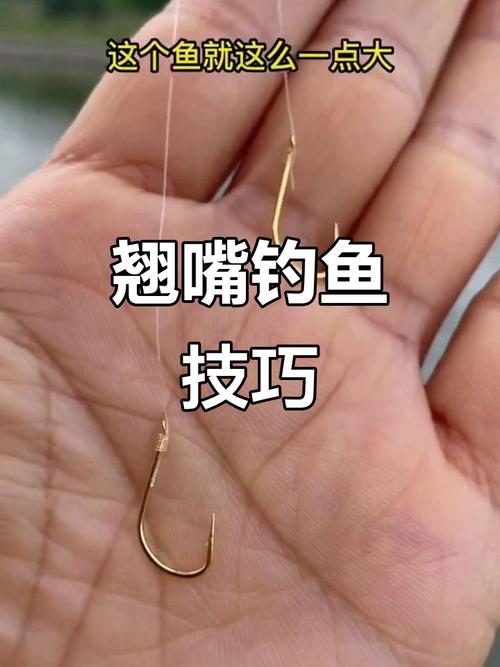 翹嘴魚餌料配方_翹嘴紅鲌釣法_手竿垂釣翹嘴鲌的技巧和方法必看