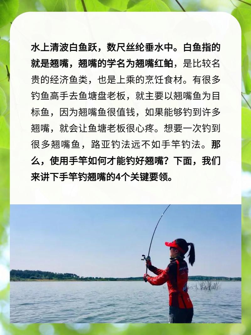 手竿垂釣翹嘴鲌的技巧和方法必看_翹嘴紅鲌釣法_翹嘴魚餌料配方