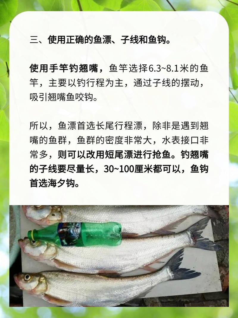 手竿垂釣翹嘴鲌的技巧和方法必看_翹嘴紅鲌釣法_翹嘴魚餌料配方