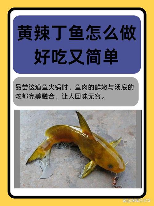 黃辣丁吃什么食物_黃辣丁魚的做法_黃辣丁養殖池塘要求