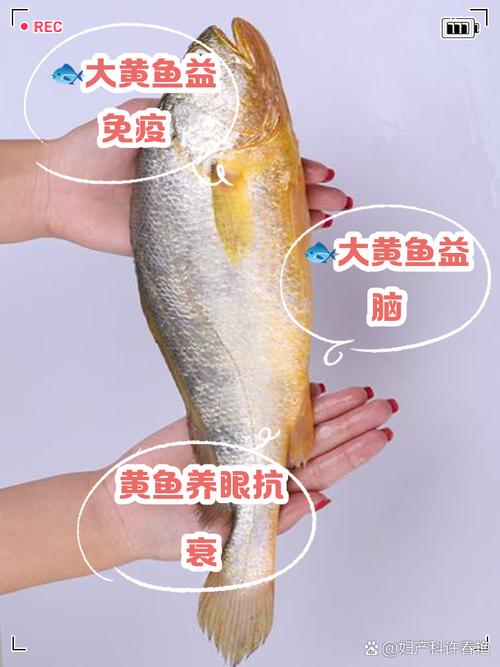 黃魚是淡水魚還是海水魚_黃花魚是什么魚_黃花魚是海魚嗎