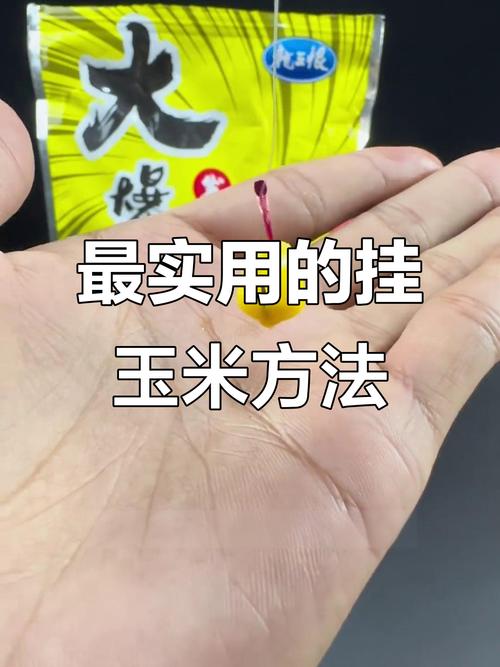 玉米粒釣魚掛鉤方法圖_掛餌技巧_鉤絲使用方法