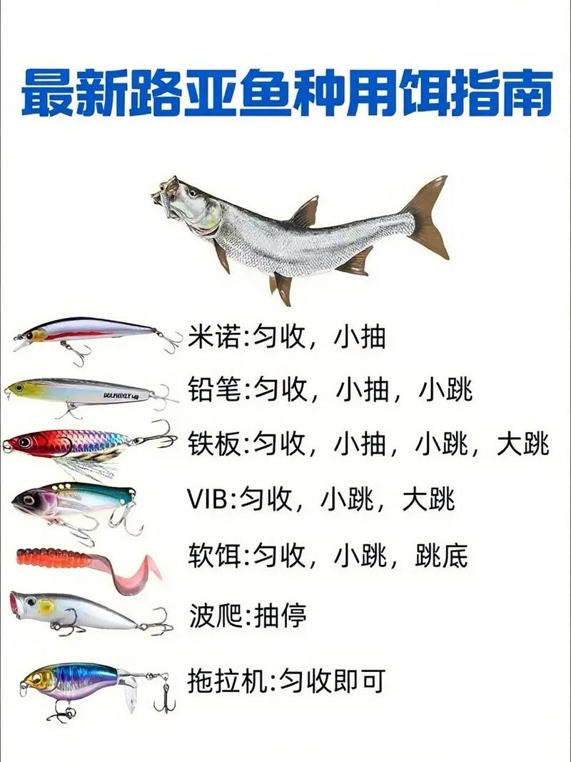 路亞餌料種類_硬餌分類及用途_路亞海鱸的軟蟲假餌選擇技巧