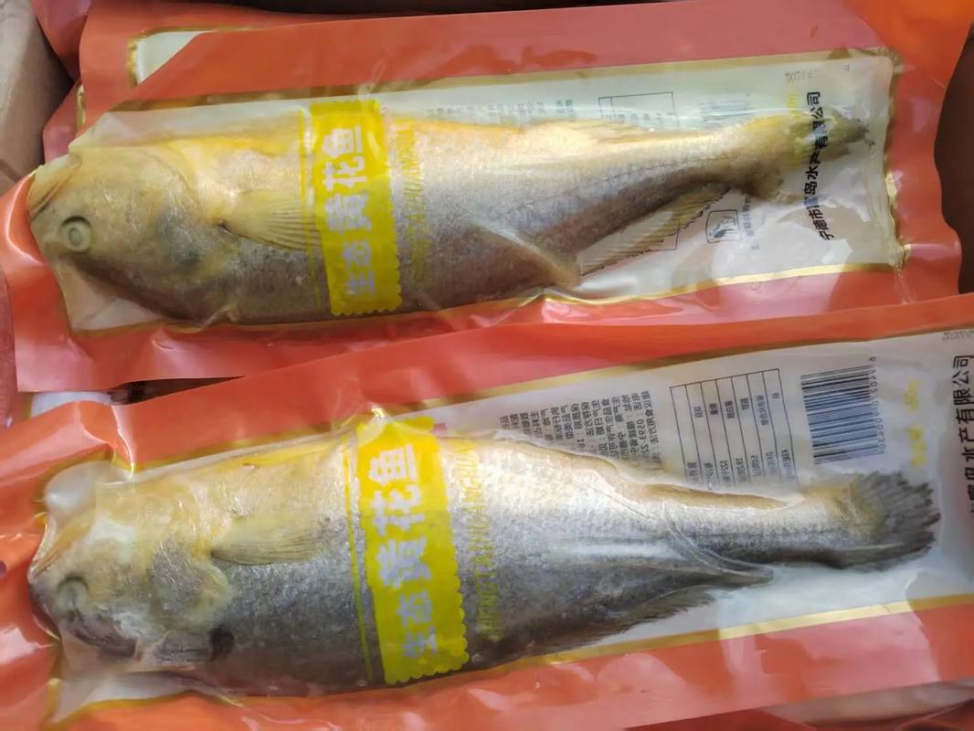 黃花魚多少錢一斤_刀魚黃花魚鯧魚價格_春季時鮮魚上市
