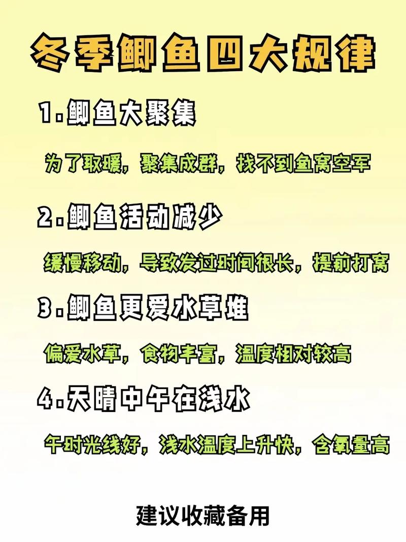 改變線組餌料釣位_深秋釣魚技巧_深秋釣魚技巧