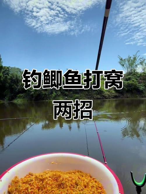 野釣鯽魚如何打窩_野釣鯽魚打窩技巧_自制酒米配方