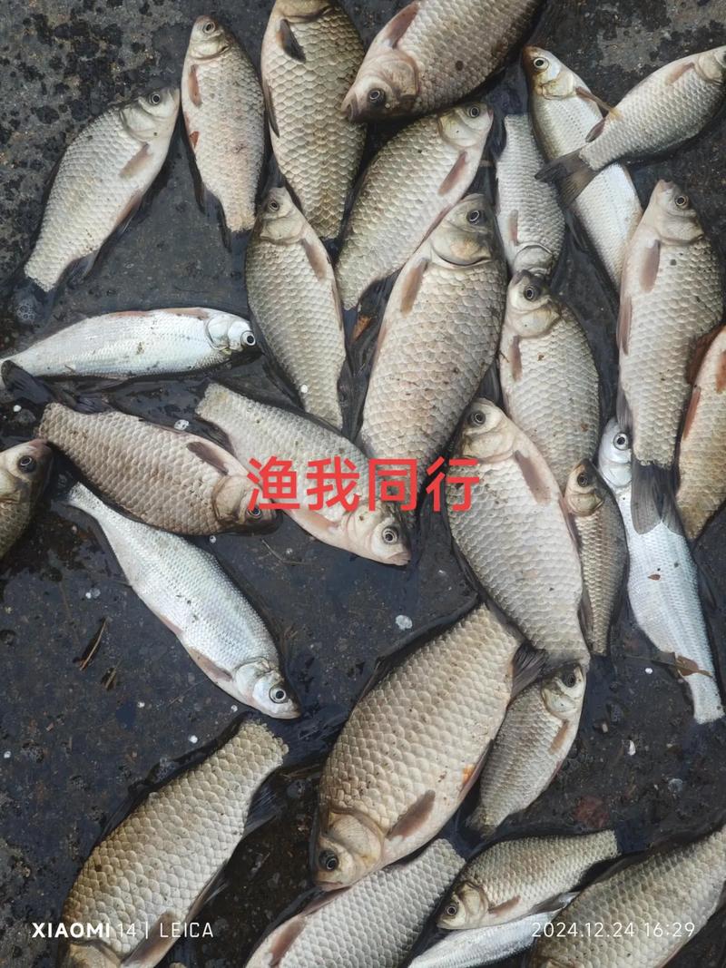 漁我同行誰出品的_漁我同行全集視頻_漁我同行最新視頻__漁我同行212集