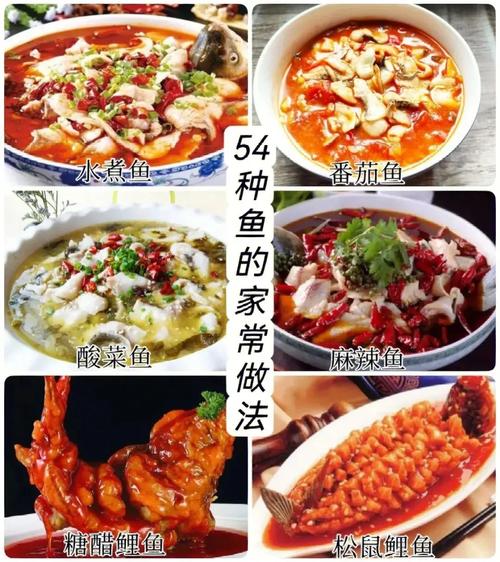 淡水魚大全_淡水魚營養價值_家常美味淡水魚