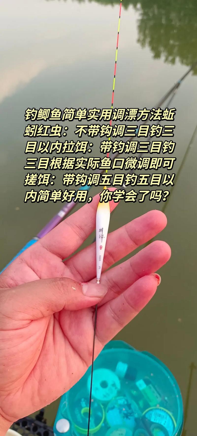 野釣鯽魚調漂技巧_野釣小鯽魚怎么調釣好_野釣鯽魚靈鈍切換術