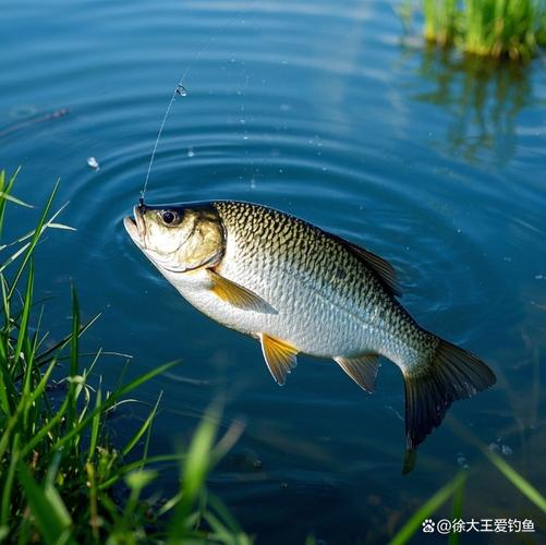 春季變化天氣口好_什么天氣適合釣魚_春季野釣天氣選擇