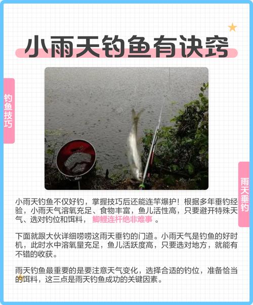 雨后釣魚水溫溶氧量變化_雨前作釣與雨后作釣的區別_雨天如何釣魚及技巧分析必看