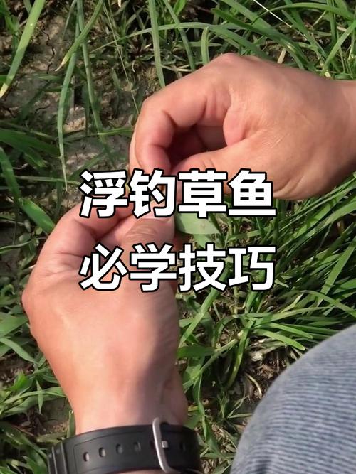 釣草魚用幾號魚鉤幾號線_怎么釣草魚_釣草魚用什么餌最好