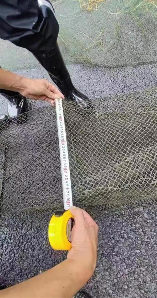 什么網不捕魚_捕魚網英語_捕魚網大全捕魚網漁網圖片