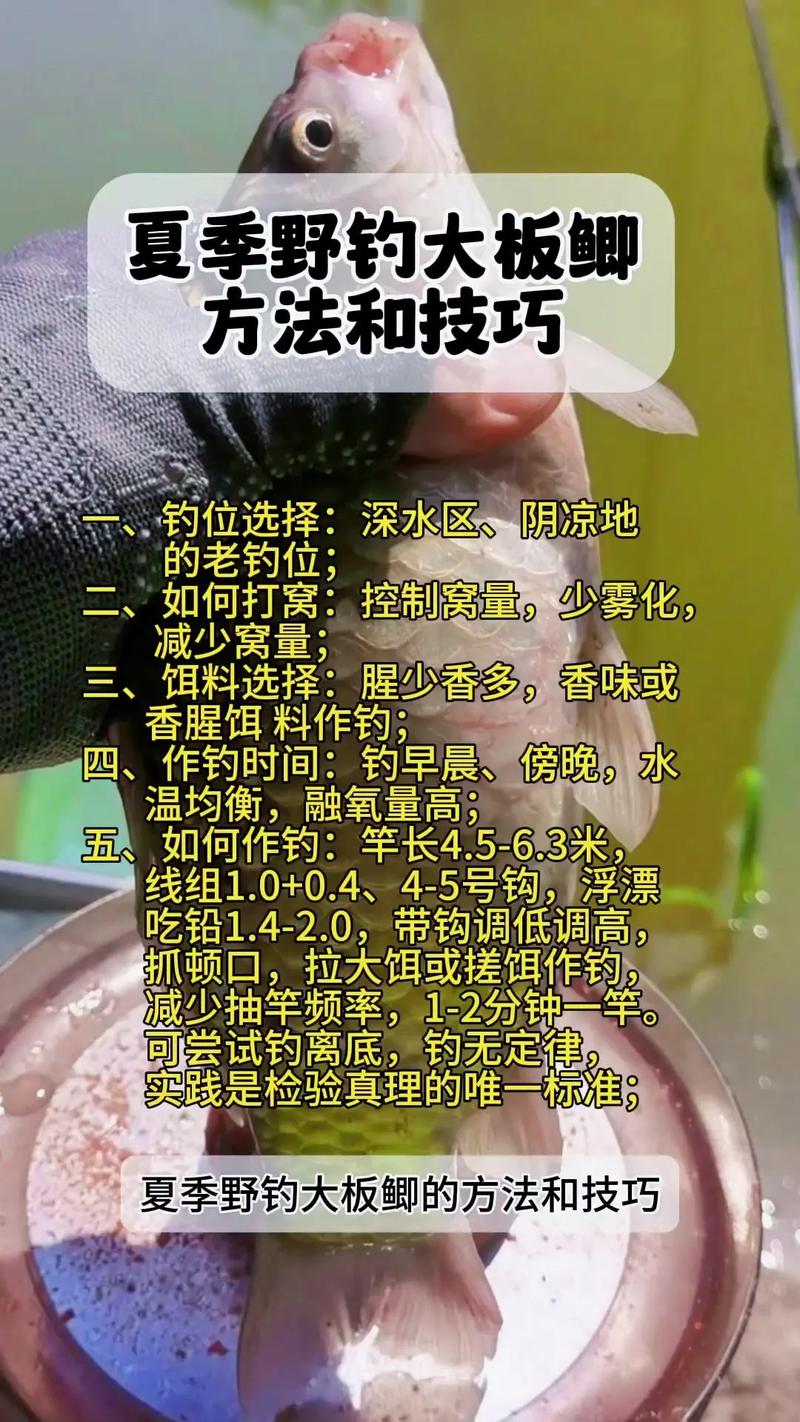 遛大魚方法_釣大魚技巧_怎么釣魚魚容易上鉤
