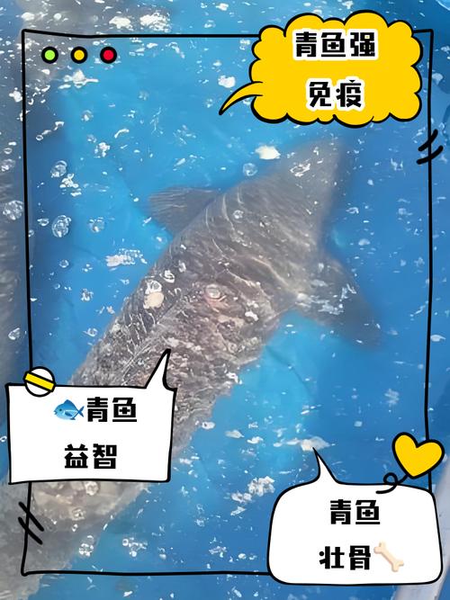 淡水魚類大全名稱圖片_中國四大家魚特點_青魚草魚鰱鳙介紹