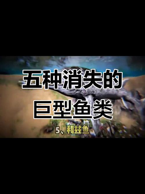 淡水魚種類_海南淡水魚類保護_海南瀕危魚類現狀