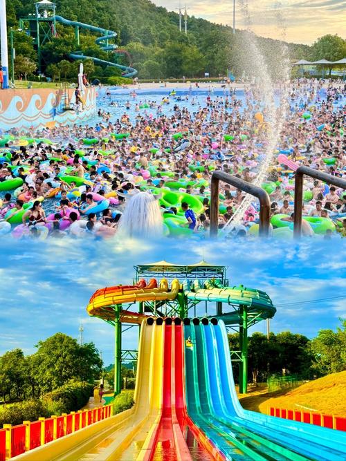 路亞-水上樂園_路亞釣法_路亞裝備搭配