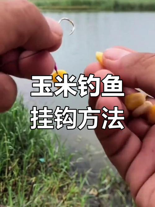 掛玉米釣鯉魚_掛玉米釣草魚_玉米釣草魚釣底還是釣浮？釣浮應該釣什么水層？