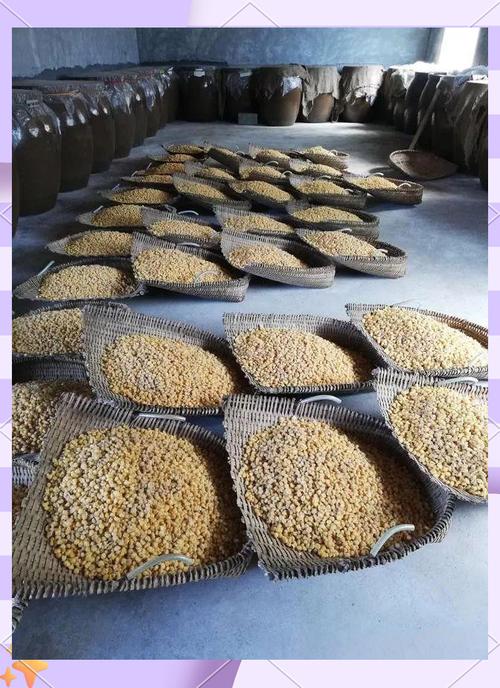 安琪甜酒釀酵母發酵時間_玉米釀酒發酵天數_安琪甜酒曲發酵老玉米