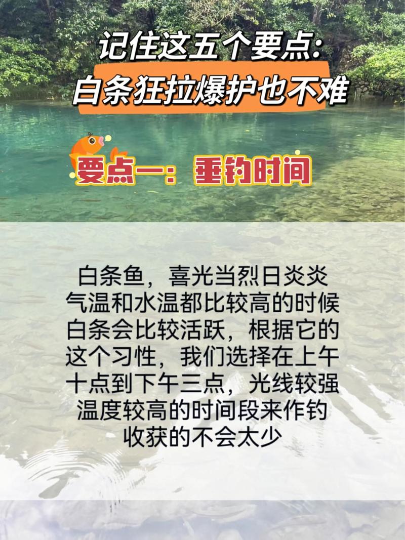 白條殺手用的是什么魚竿_白條殺手野釣視頻_白條殺手釣魚視頻