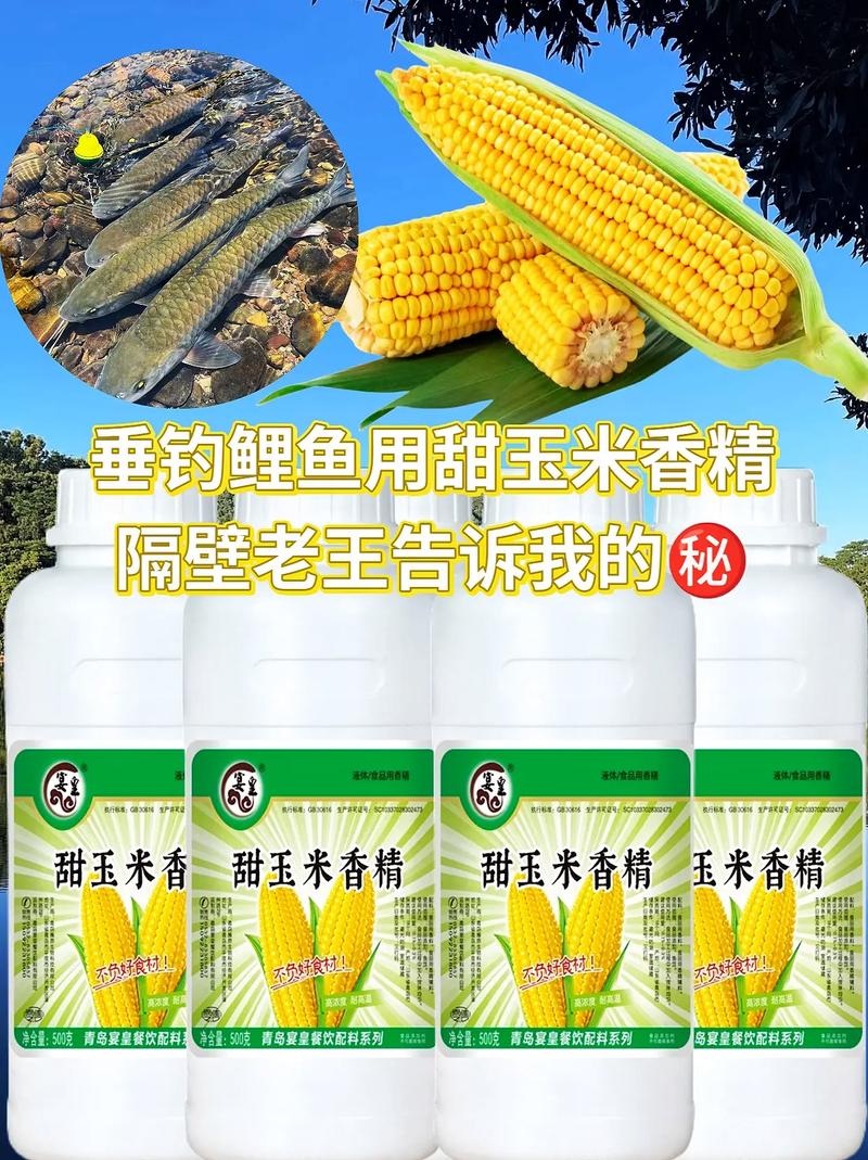玉米餌料泡制配方大全_釣大鯉魚玉米餌配方_野釣玉米餌料制作方法