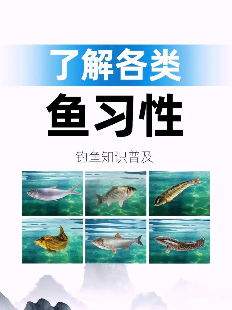 白條魚串鉤釣法_白條魚餌料配方_白條魚釣法